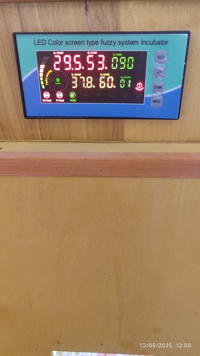 Inkubator sotiladi narxi 5.500 ming 1056 dona tovuq tuxumi sigʻadi