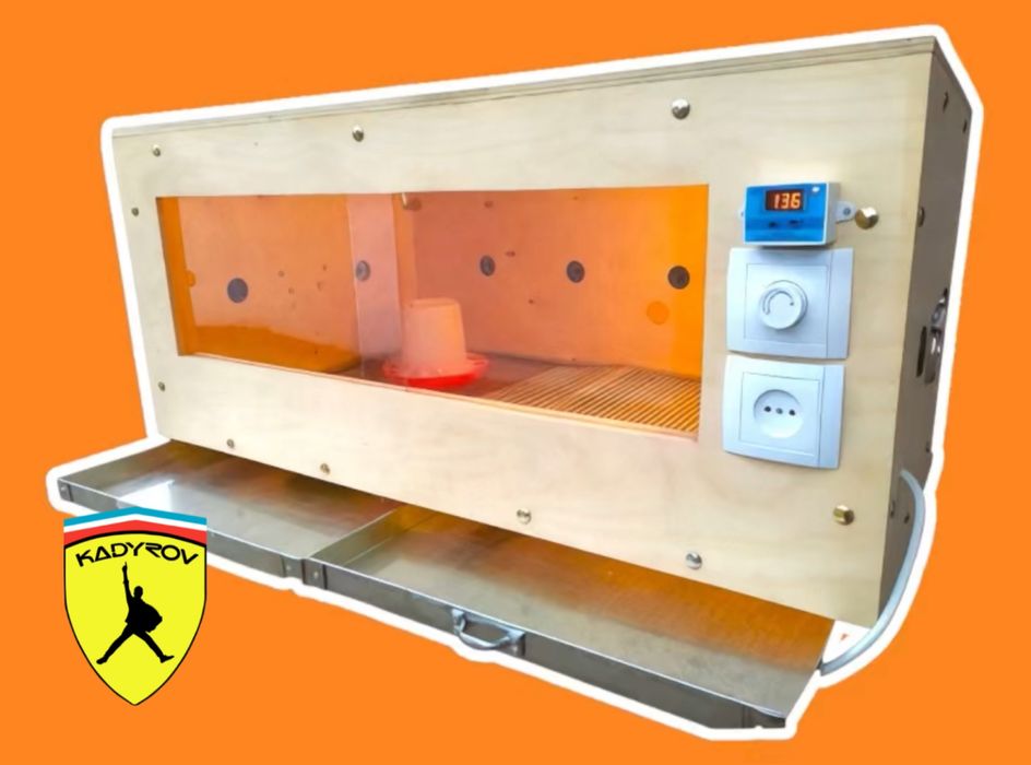 Брудер для цыплят — максимум выживаемости птицы