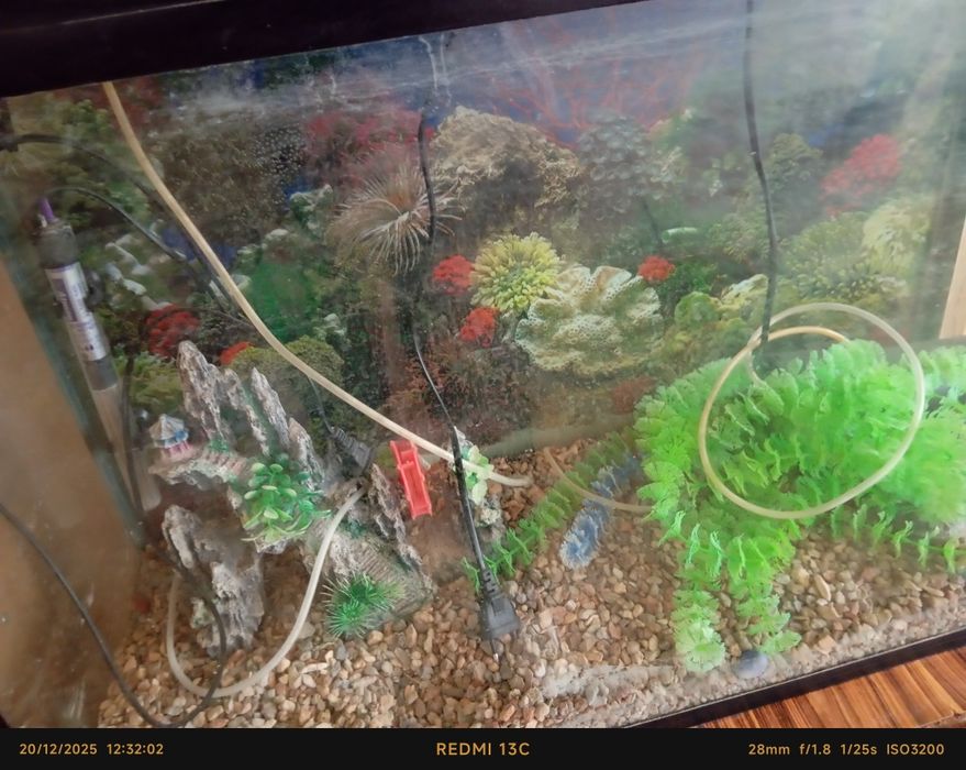 Akvarum baliq lar uchun ham narsasi bor tayyor Viltir bor