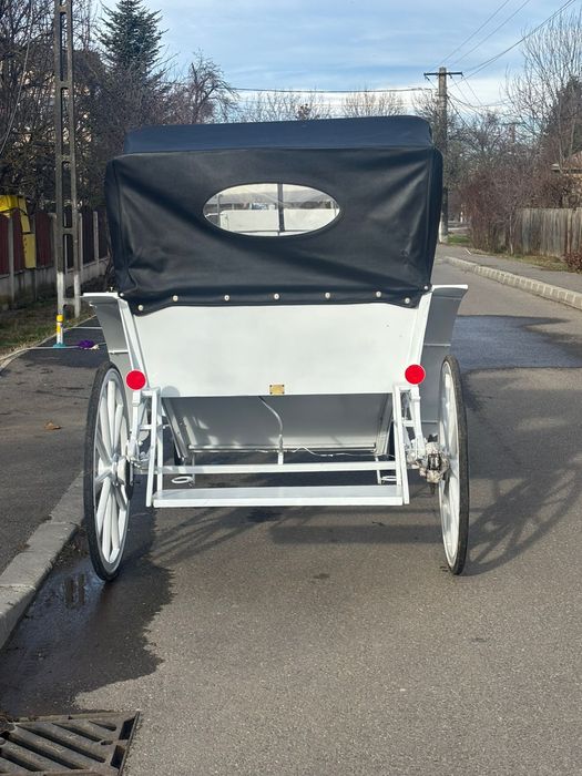 Trasura de  vanazare