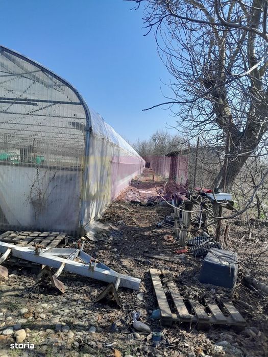 Vanzare Teren 3100 Mp - Sat Rosiori (Il)