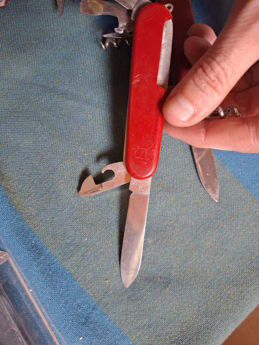 Швейцарски ножки цена 25лв за брой