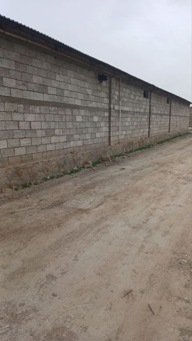 Срочно продается База в Тинчлике