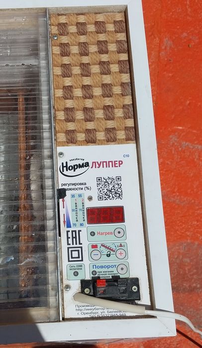 Инкубатор норма луппер сатылады