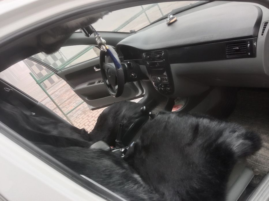 Jentra sotiladi yili 2019