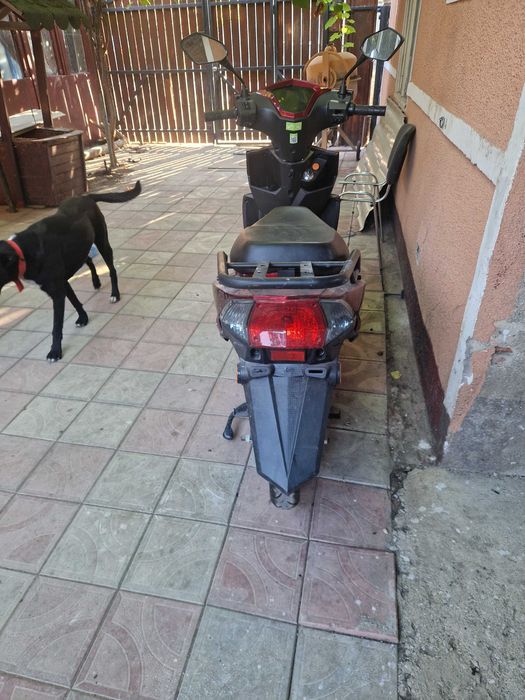 Scutar electric anul 2024