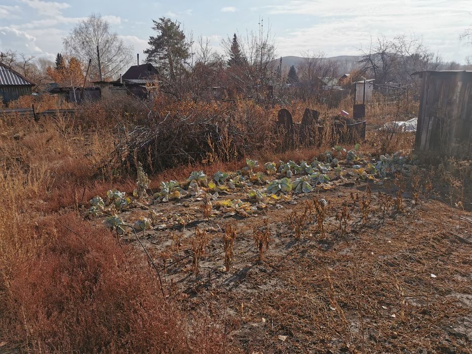 Продам дачный участок