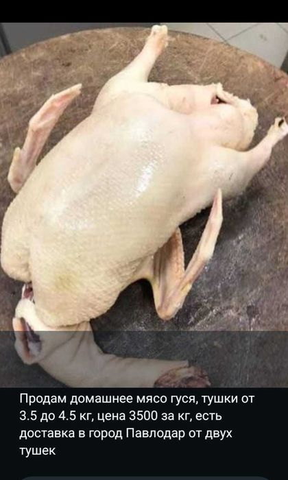 Продам мясо гуся