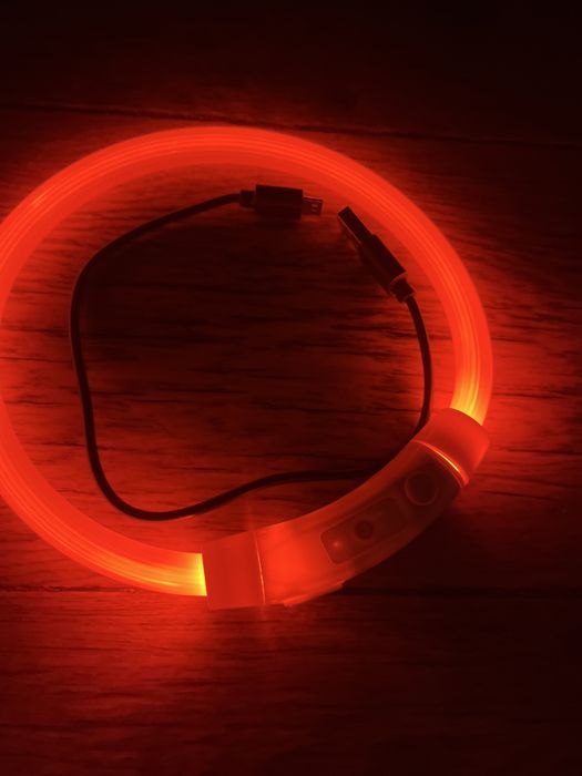 Свитящайся ошейник для собак