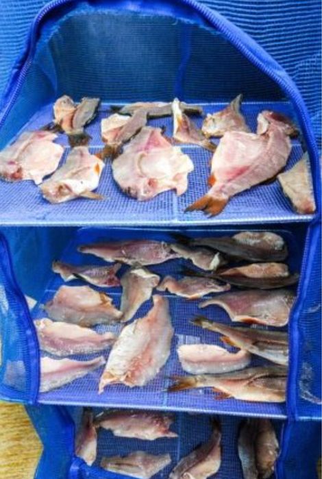 Сушилка для рыбы, сухофруктов Казакстан