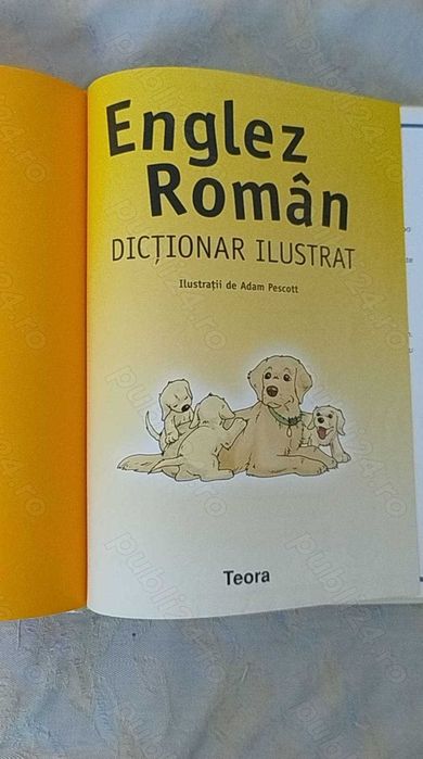 Dicționar ilustrat englez român (Teora)