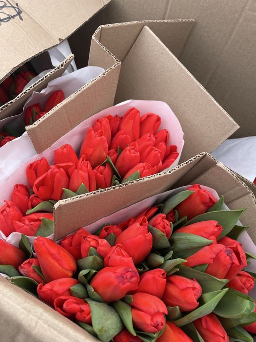 Тюльпаны 800 на как кск каибекова 373