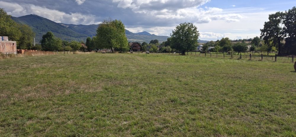 Teren de vanzare intravilan Bistra Muresului 4915 mp
