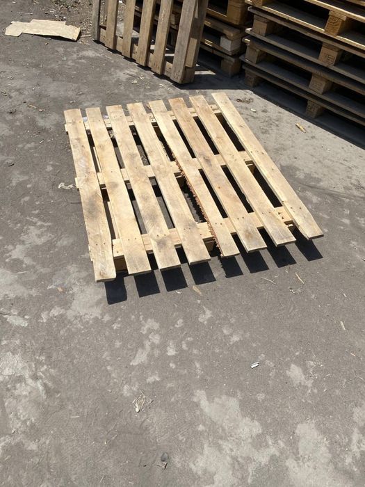 Поддон паддон paddon poddon асартимент