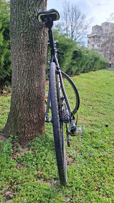 Bianchi Via Nirone 7