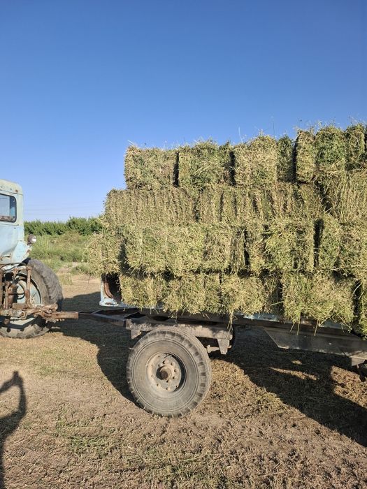 Беда сотилади Ромитанда
