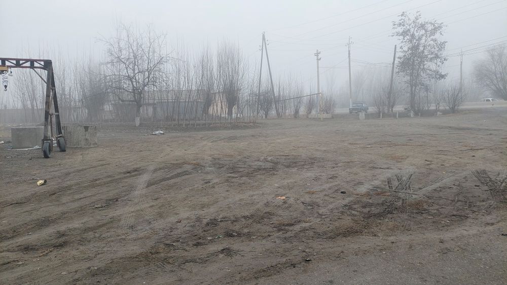 Noturar joy binosi bor