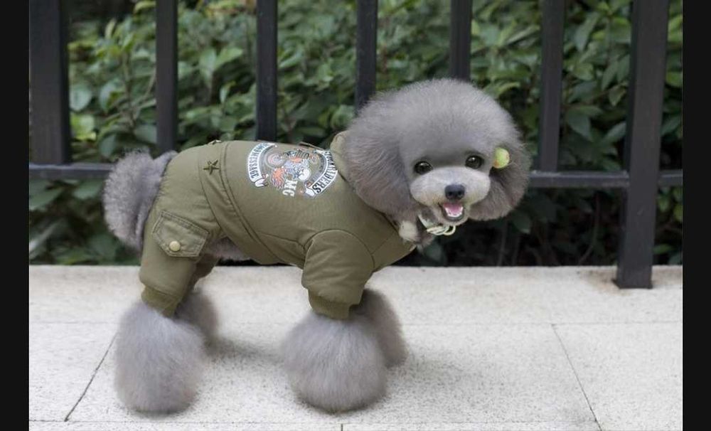 Комбинезон для собачки