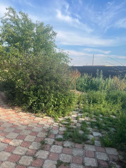 Срочно. Продам дом 6соток