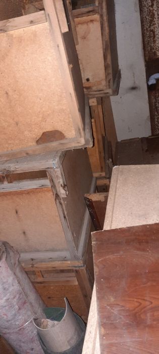 Пчела пакеты спареные