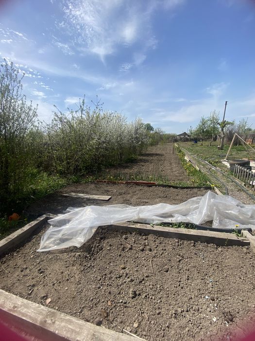 Продается Дача Черемушки