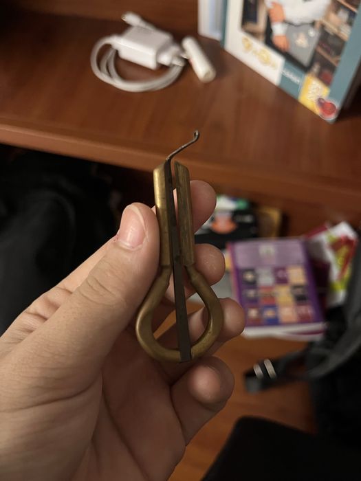 Шаңқобыз чехолымен