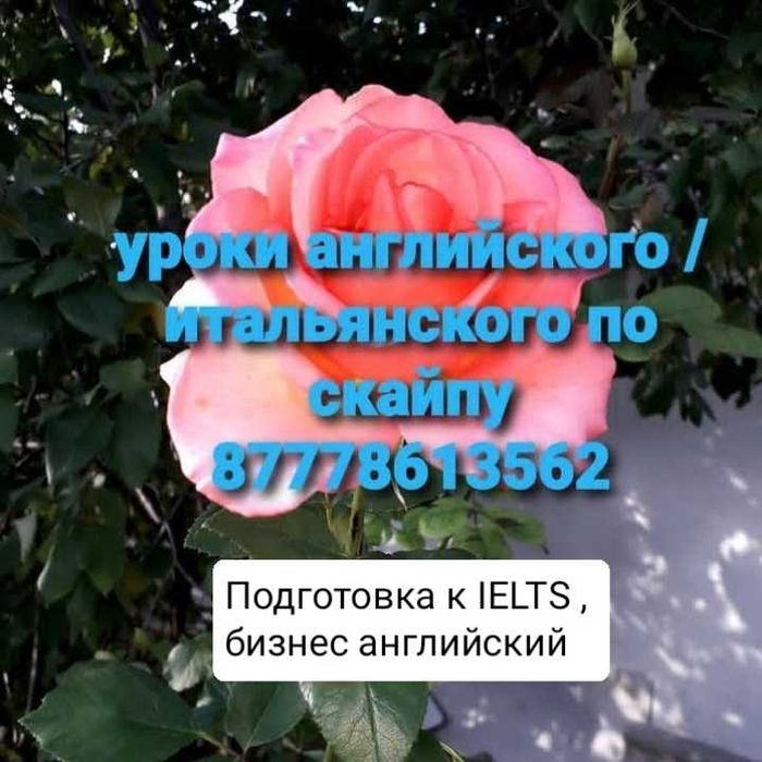 Самообразование / хобби