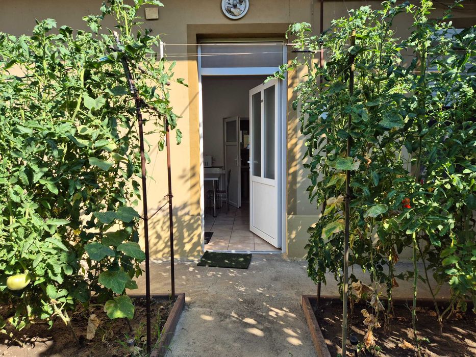Apartament 1 camera de vanzare Timisoara, Iosefin