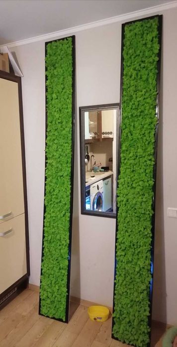 НАЙ-НИСКИ ЦЕНИ! Скандинавски мъх Пана , изработка от скандинавски мъх