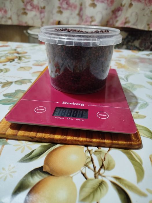 Косточки тёмного винограда(саперави)