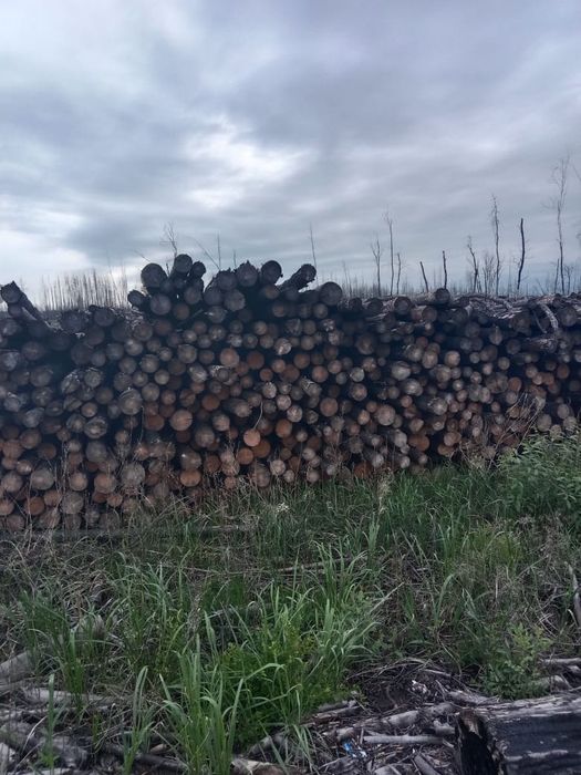 Продам жерди ...