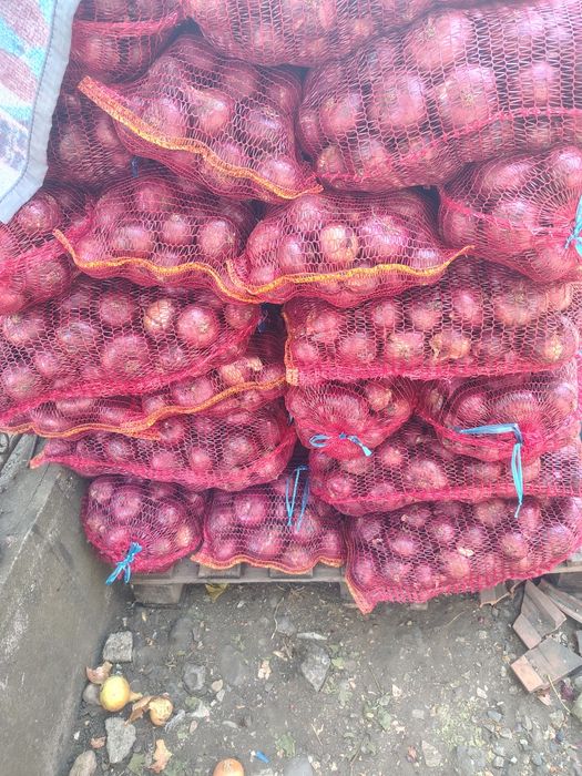 Ciapa albă și roșie