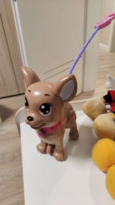 Куче Чи Чи / Chi Chi Love