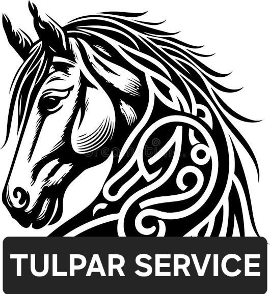 Ремонт велосипедов и электровелосипедов