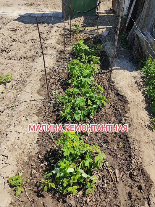 Продам дачу на Бобровке