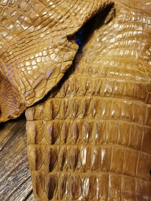 Обработена кожа 145 см.