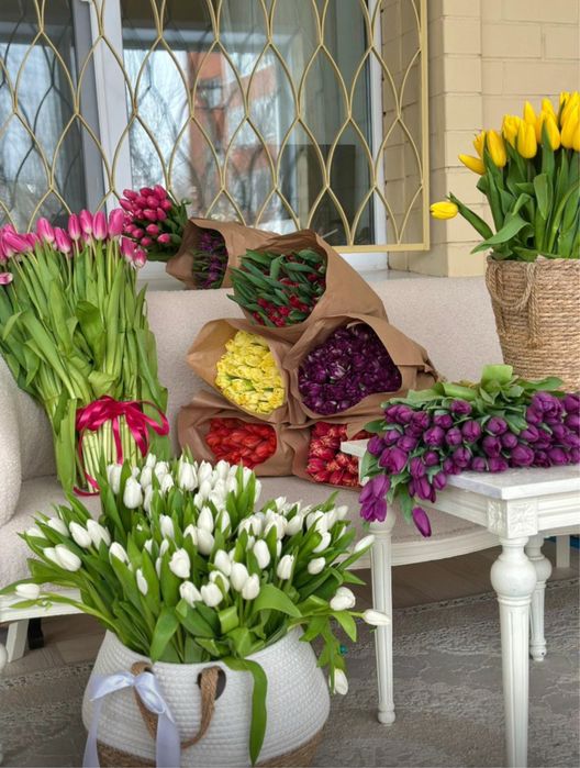 Тюльпаны пионовидные и обычные