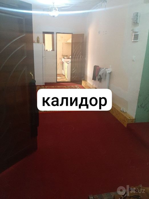 2хоноли кв сотилоди