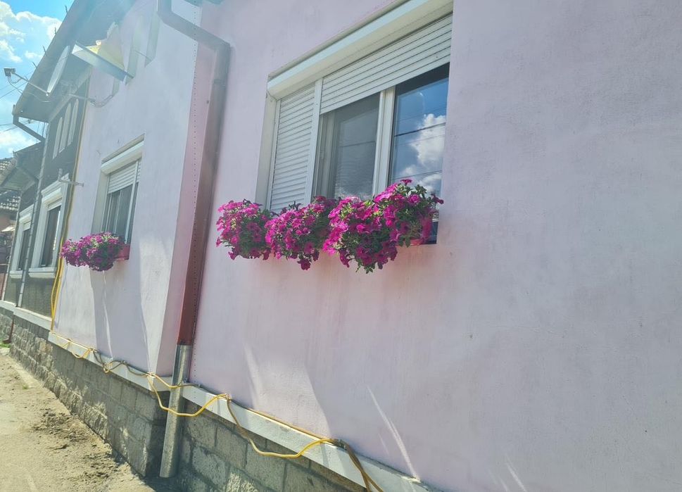 Casa de vanzare Ştei Bihor