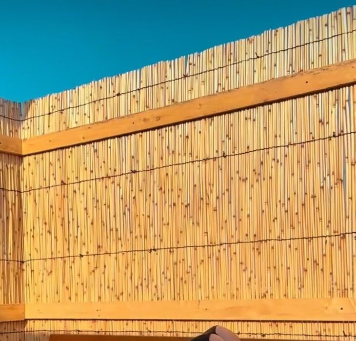 Декоративный камыш