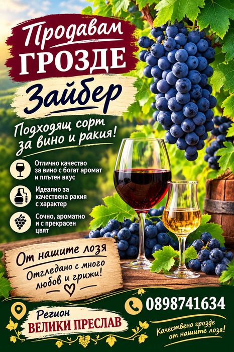 Грозде Зайбер от нашите лозя.