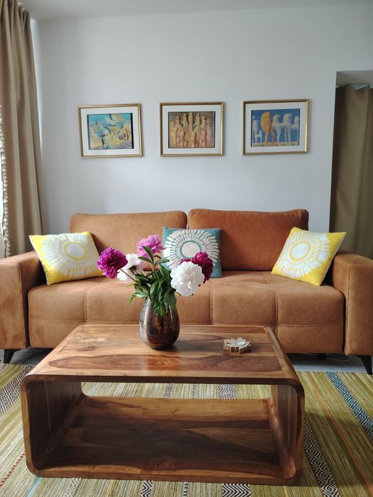 Apartament cochet short term rental Floreasca