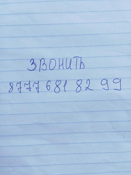 Продается корова. Сиыр сатылады.
