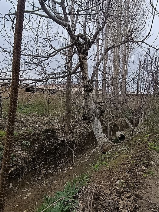 Uchaska sotiladi Yangi Toshkent Arzon