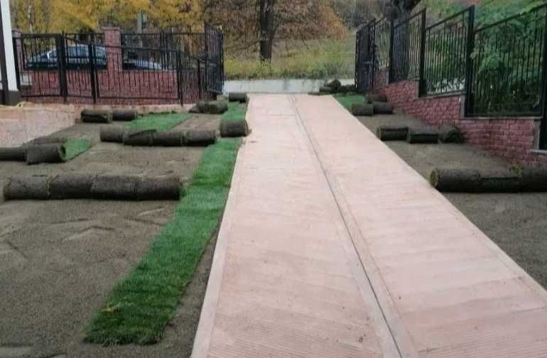 Gazon Rulou Calitate extra