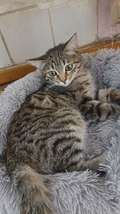 Мальчик 4мес ищет дом