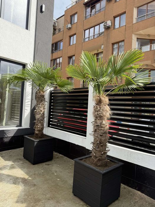 Дървени саксии (Кашпи)