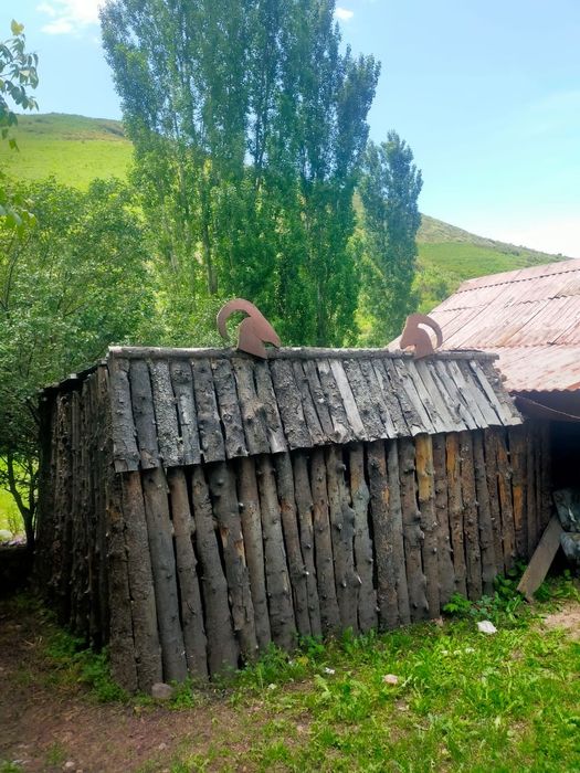 Аренда дачи для всего