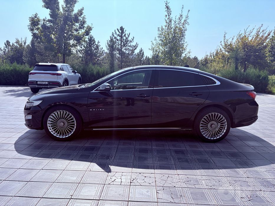 Malibu Premier 2021
