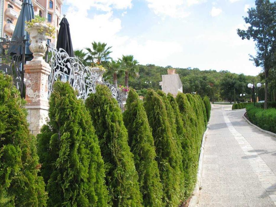 Продава се Къща в к.к. Елените - 217 кв.м за 1452 €/кв.м - Снимка #21